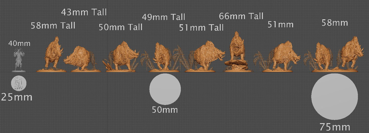 Wild Hogs | Aussie 3D Printed Miniatures and Terrain