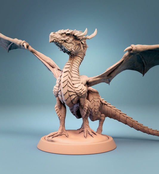 Cute Dragon, Baby Dragon | Aussie 3D Printed Miniatures and Terrain