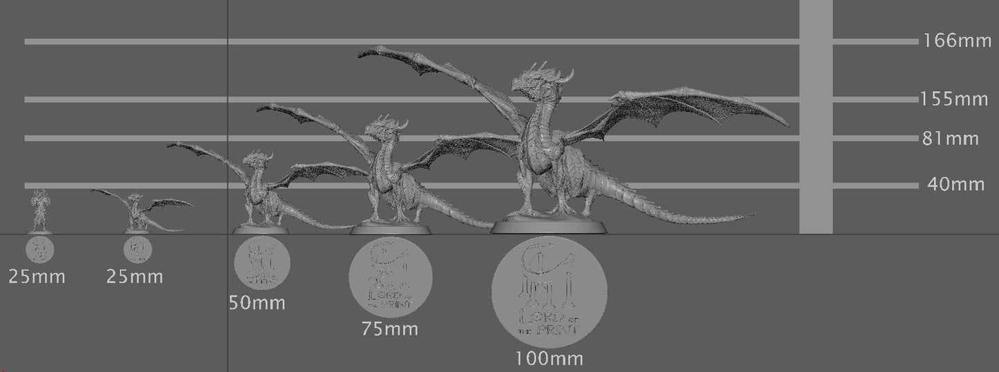 Cute Dragon, Baby Dragon | Aussie 3D Printed Miniatures and Terrain