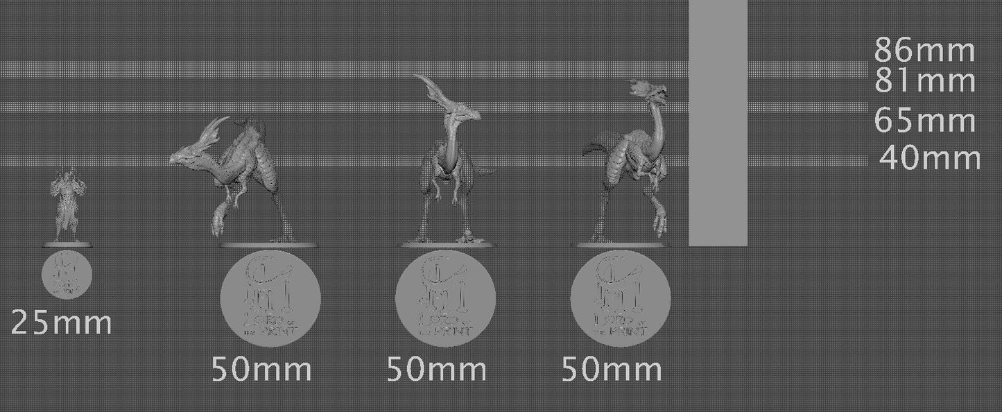 Austiceratops, Dinosaur | Aussie 3D Printed Miniatures and Terrain