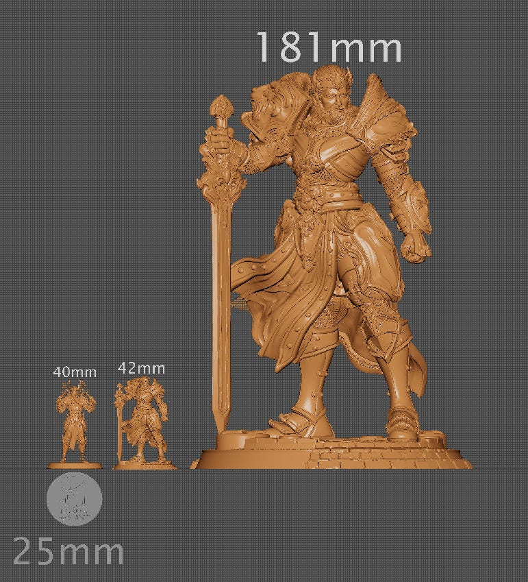 Itrek the Paladin of Dawn | Aussie 3D Printed Miniatures and Terrain