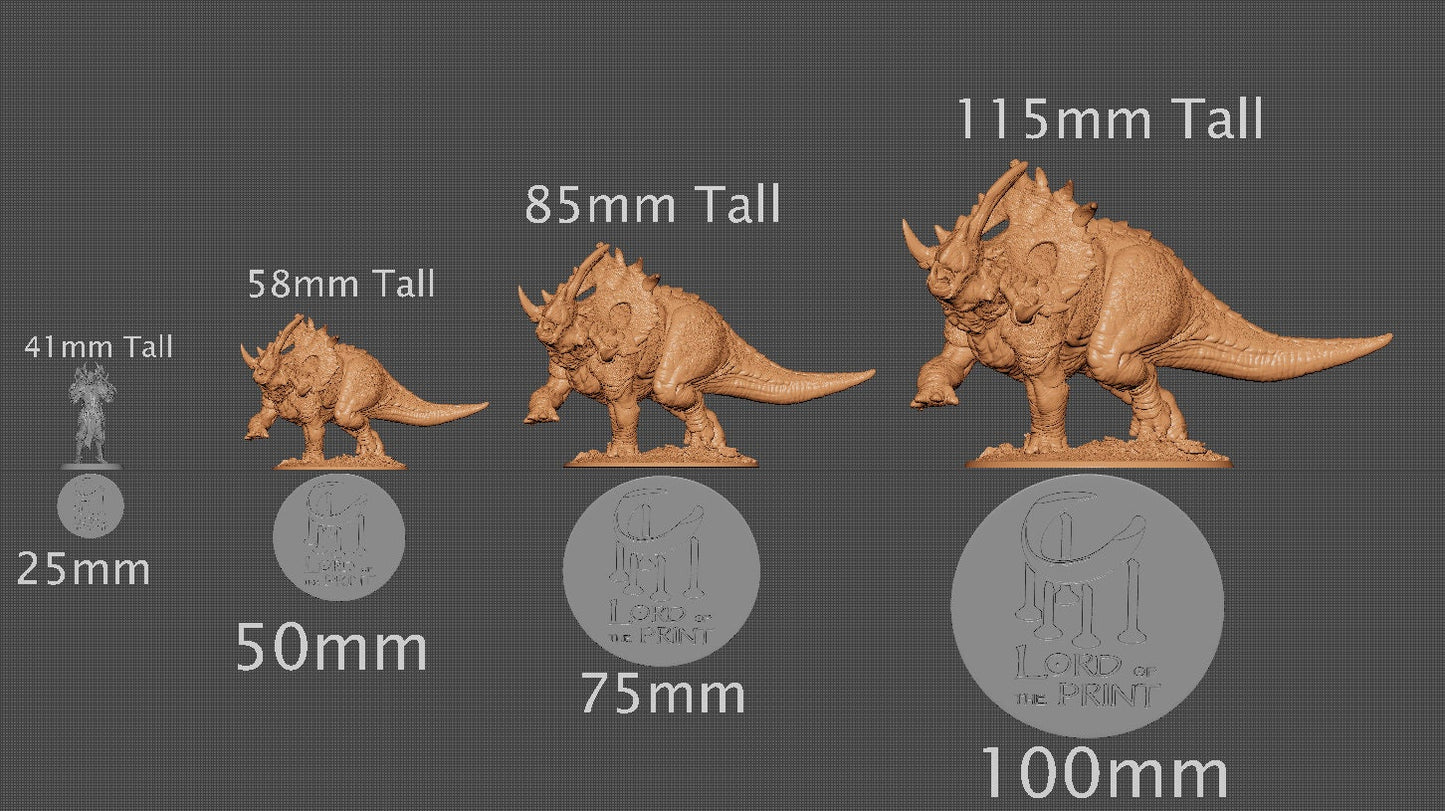 Sinoceratops Alpha | Aussie 3D Printed Miniatures and Terrain
