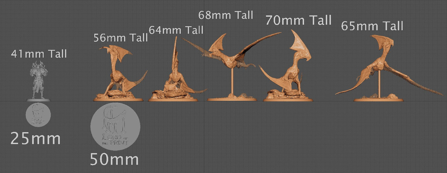 Tupandactylus | Aussie 3D Printed Miniatures and Terrain