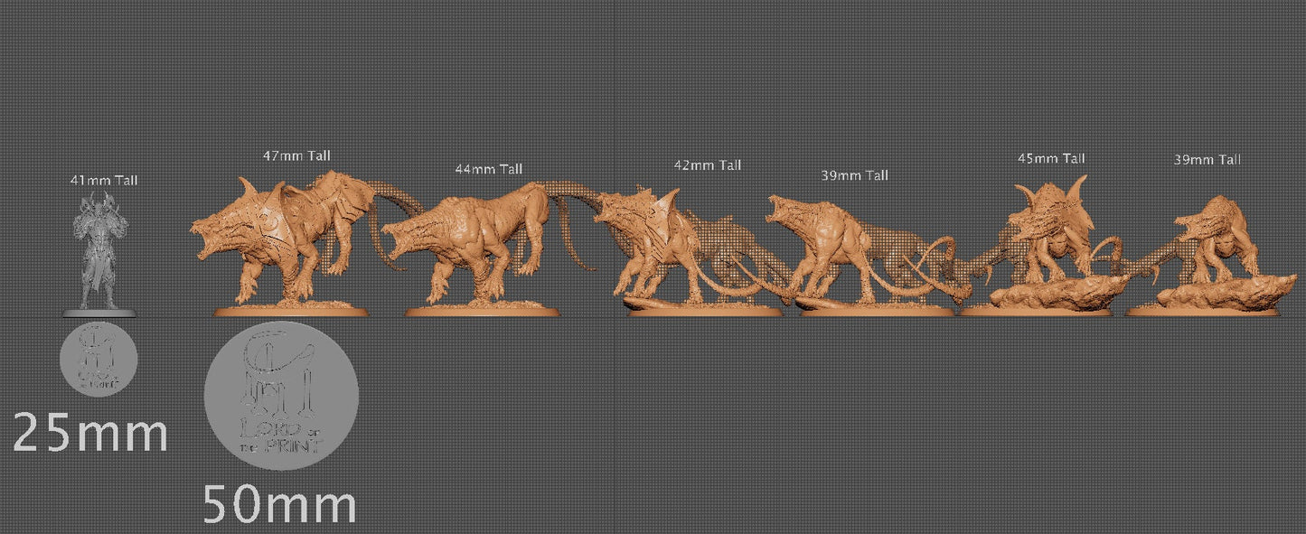 Siri Armored and Wild | Aussie 3D Printed Miniatures and Terrain