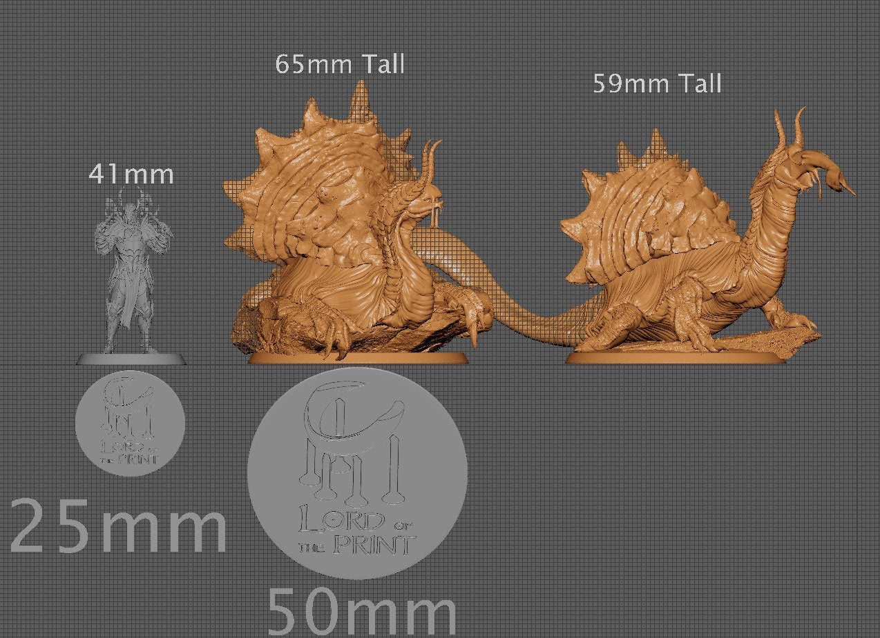 Tortescargo Duo | Aussie 3D Printed Miniatures and Terrain