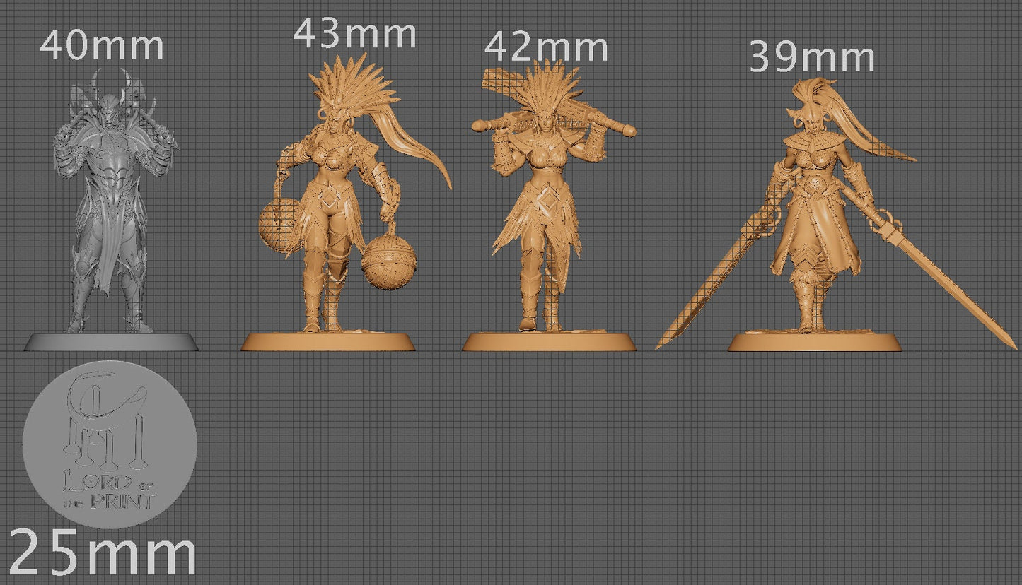 Amazon Dual Heavy Squad | Aussie 3D Printed Miniatures and Terrain