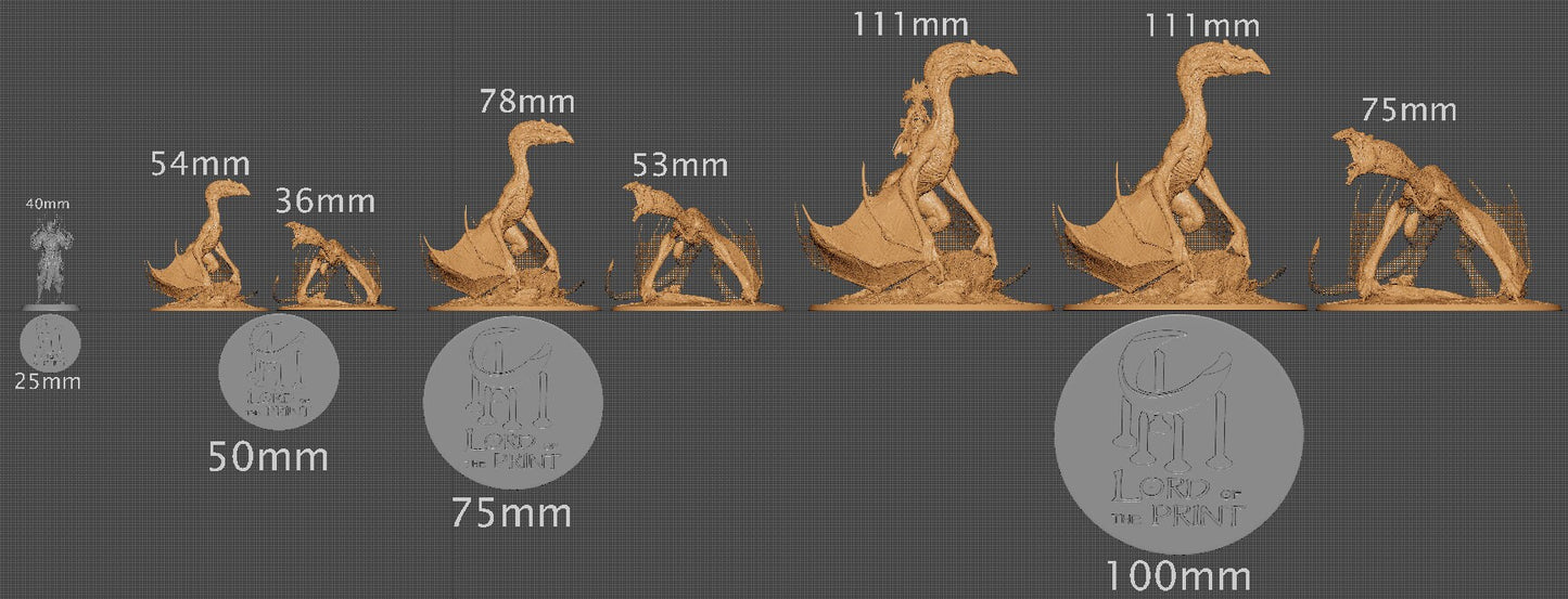 Protowyvern | Aussie 3D Printed Miniatures and Terrain