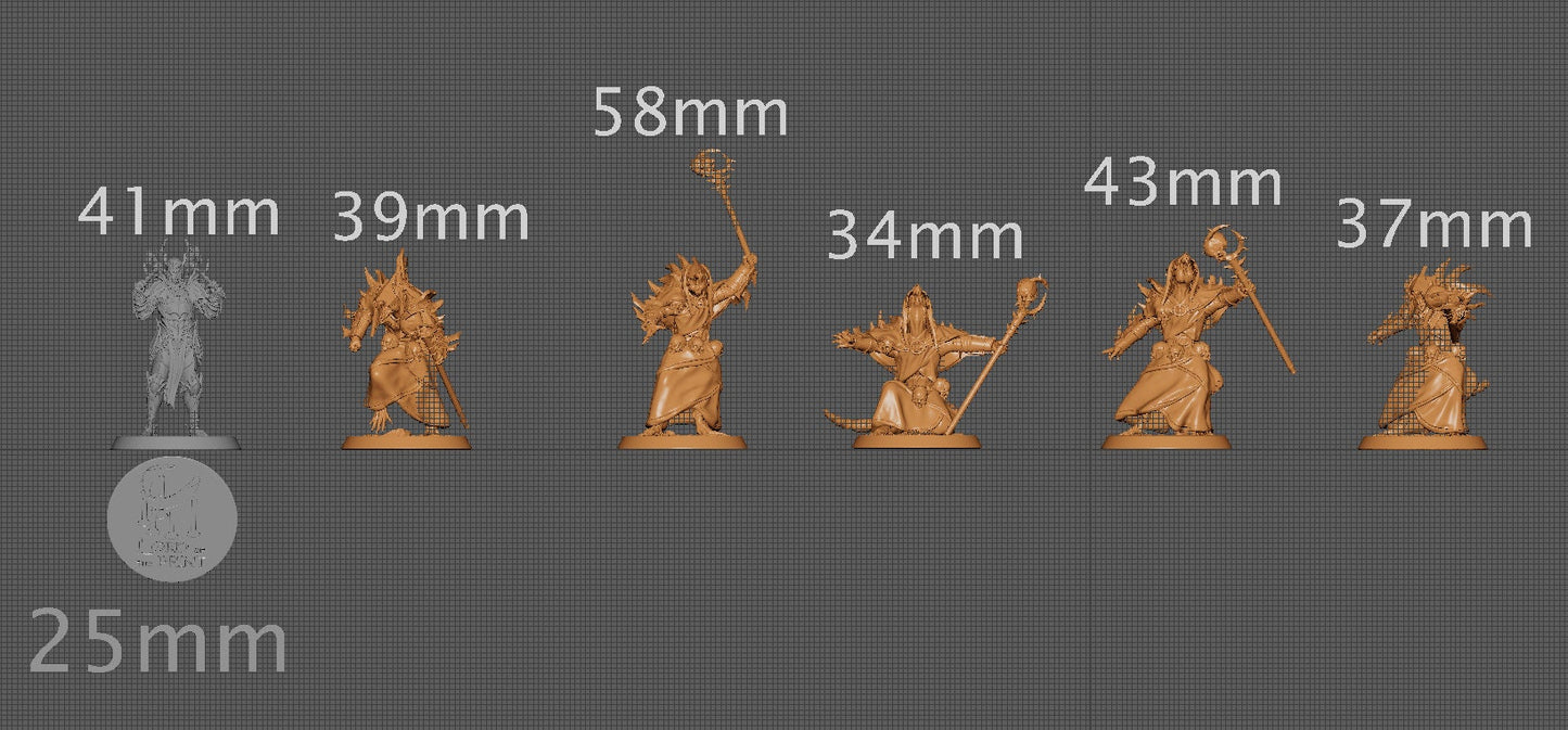 Rouswarm Priest | Aussie 3D Printed Miniatures and Terrain