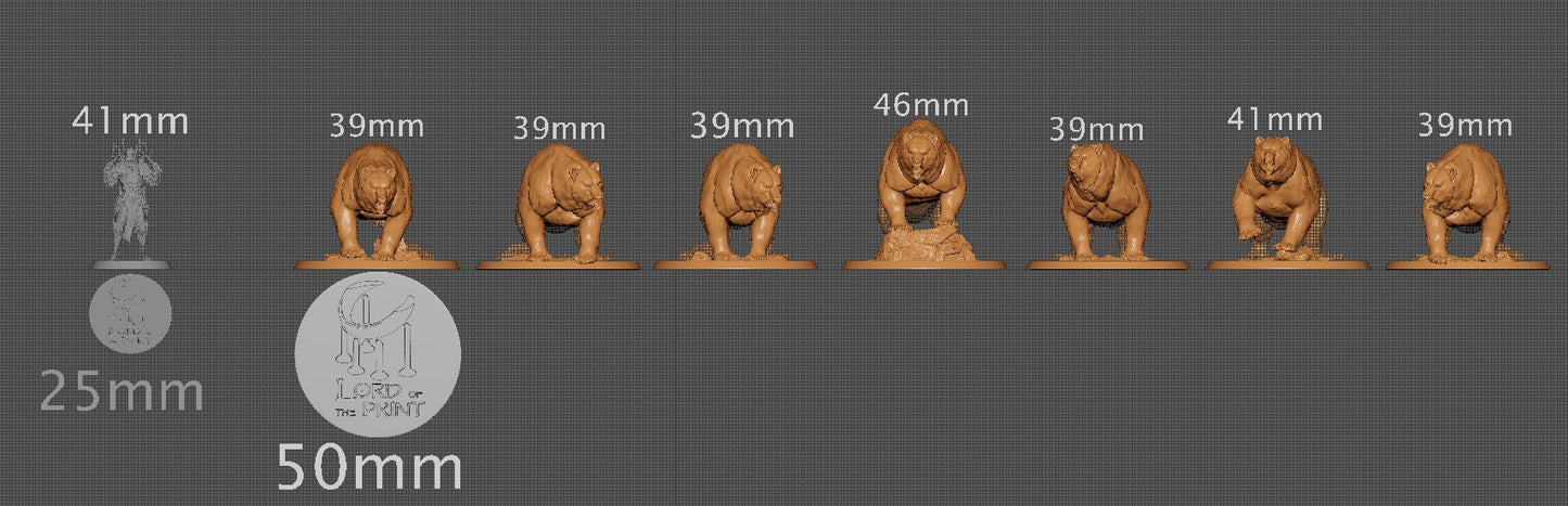 Wild Bears | Aussie 3D Printed Miniatures and Terrain