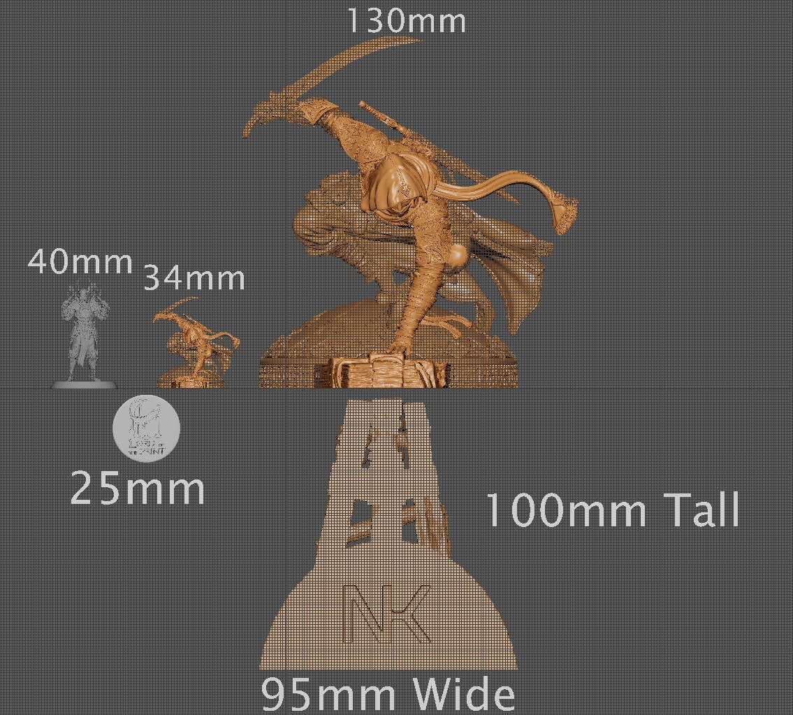 Nasir, Assassin | Aussie 3D Printed Miniatures and Terrain