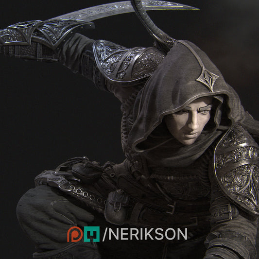 Nasir, Assassin | Aussie 3D Printed Miniatures and Terrain