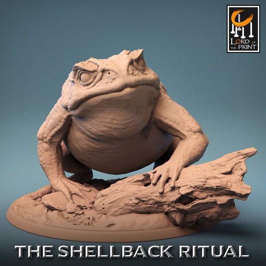 Wild Toads | Aussie 3D Printed Miniatures and Terrain