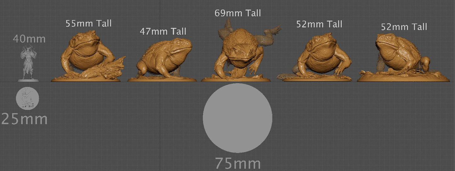 Wild Toads | Aussie 3D Printed Miniatures and Terrain