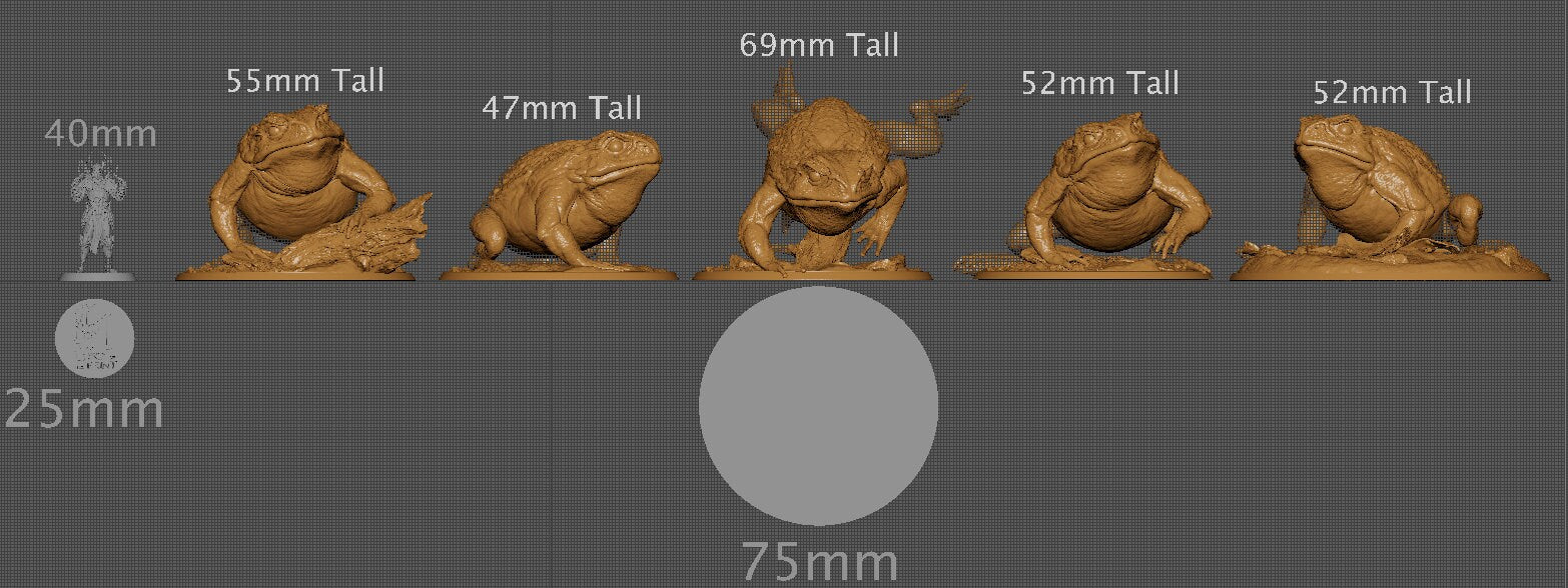 Wild Toads | Aussie 3D Printed Miniatures and Terrain