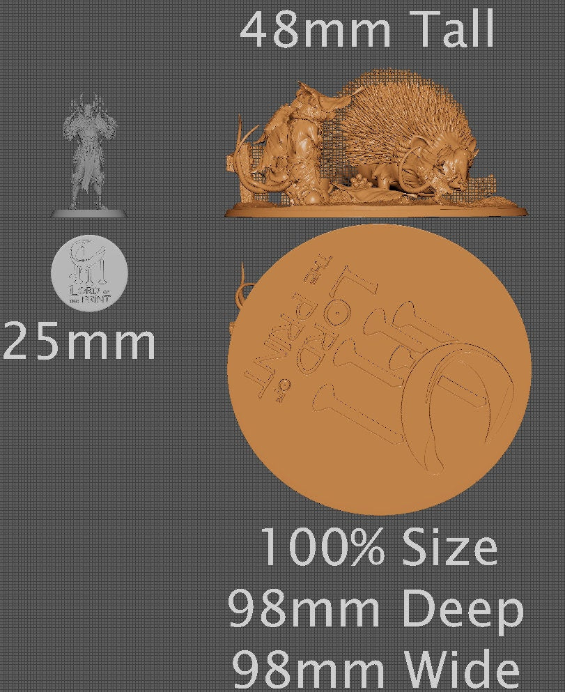 Pet Hedgehog | Aussie 3D Printed Miniatures and Terrain