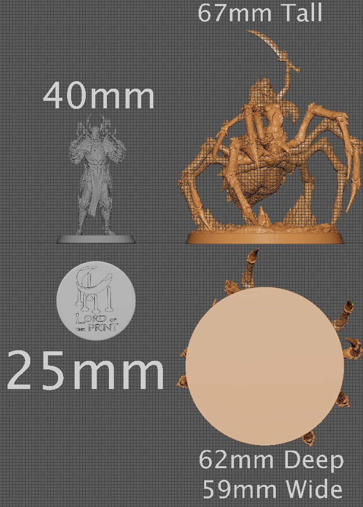 Drider | Aussie 3D Printed Miniatures and Terrain
