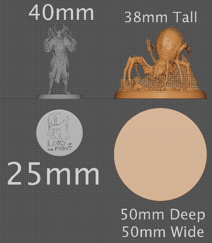 Giant Spider | Aussie 3D Printed Miniatures and Terrain
