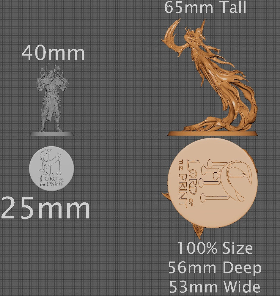 Vampire Queen Vol.2 | Aussie 3D Printed Miniatures and Terrain