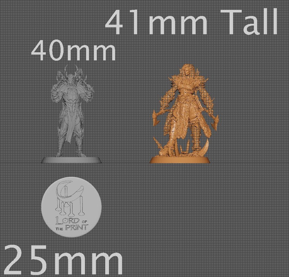 Queen Drakka | Aussie 3D Printed Miniatures and Terrain