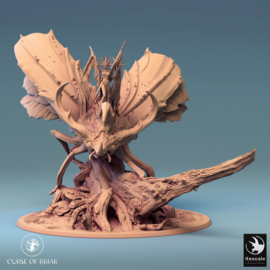 Hiedra the Royal Fae | Aussie 3D Printed Miniatures and Terrain