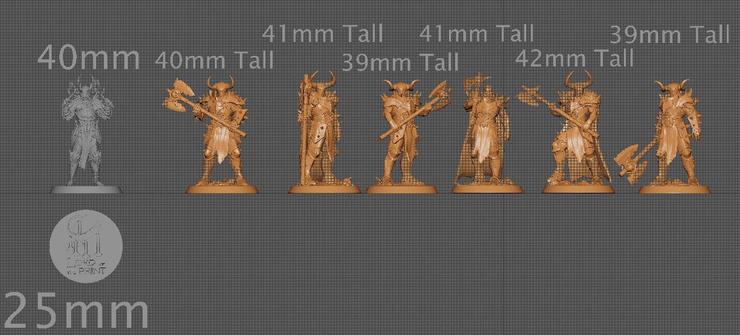 Axe Raiders | Aussie 3D Printed Miniatures and Terrain