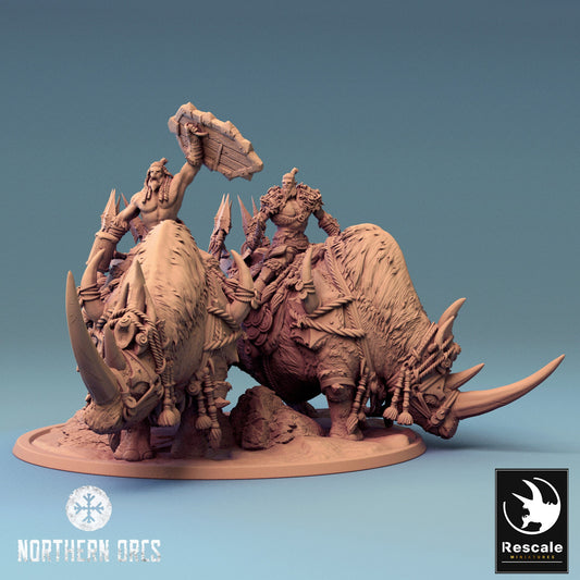 Rhino Riders | Aussie 3D Printed Miniatures and Terrain