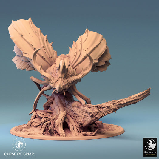 Royal Fae Great Beatle | Aussie 3D Printed Miniatures and Terrain