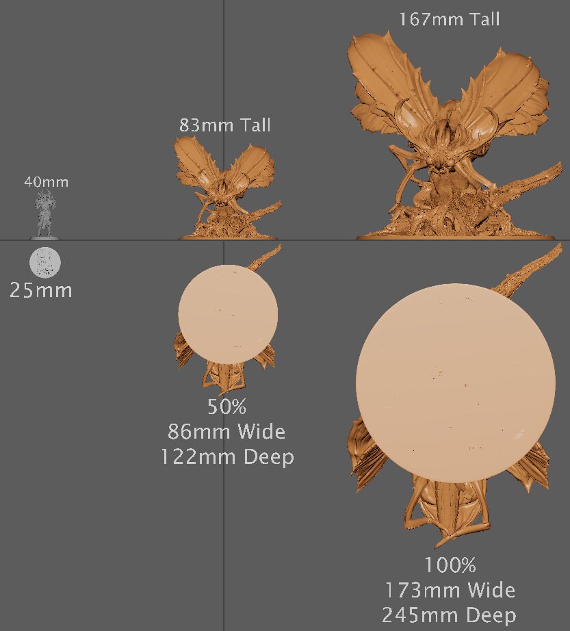 Royal Fae Great Beatle | Aussie 3D Printed Miniatures and Terrain