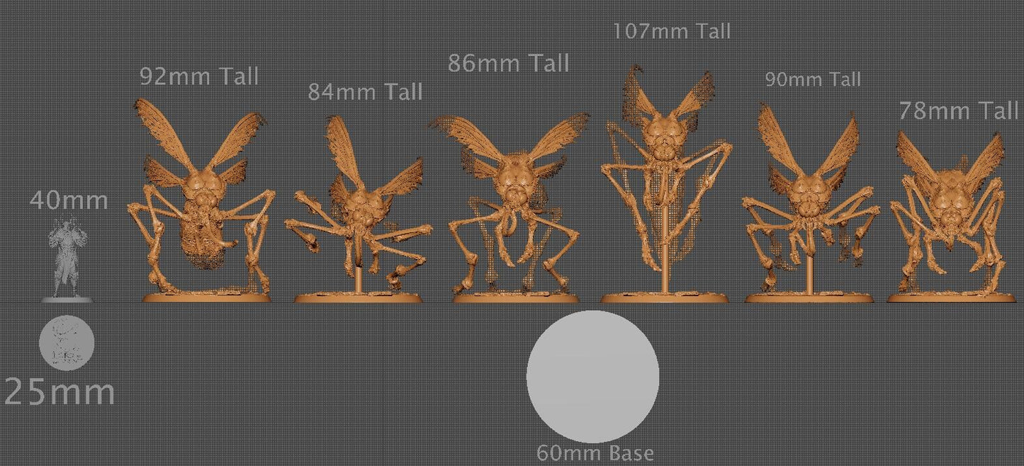 Wild Dravon | Aussie 3D Printed Miniatures and Terrain
