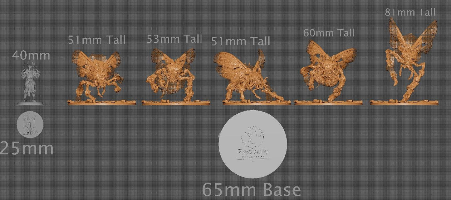 Wild Kharax | Aussie 3D Printed Miniatures and Terrain