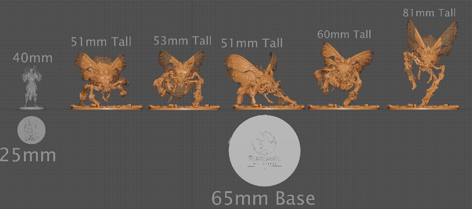 Wild Kharax | Aussie 3D Printed Miniatures and Terrain