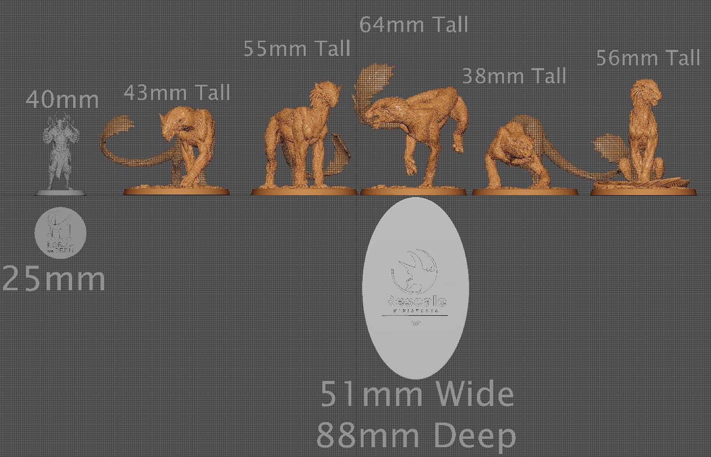 Wild Panthera, Pack 1 | Aussie 3D Printed Miniatures and Terrain