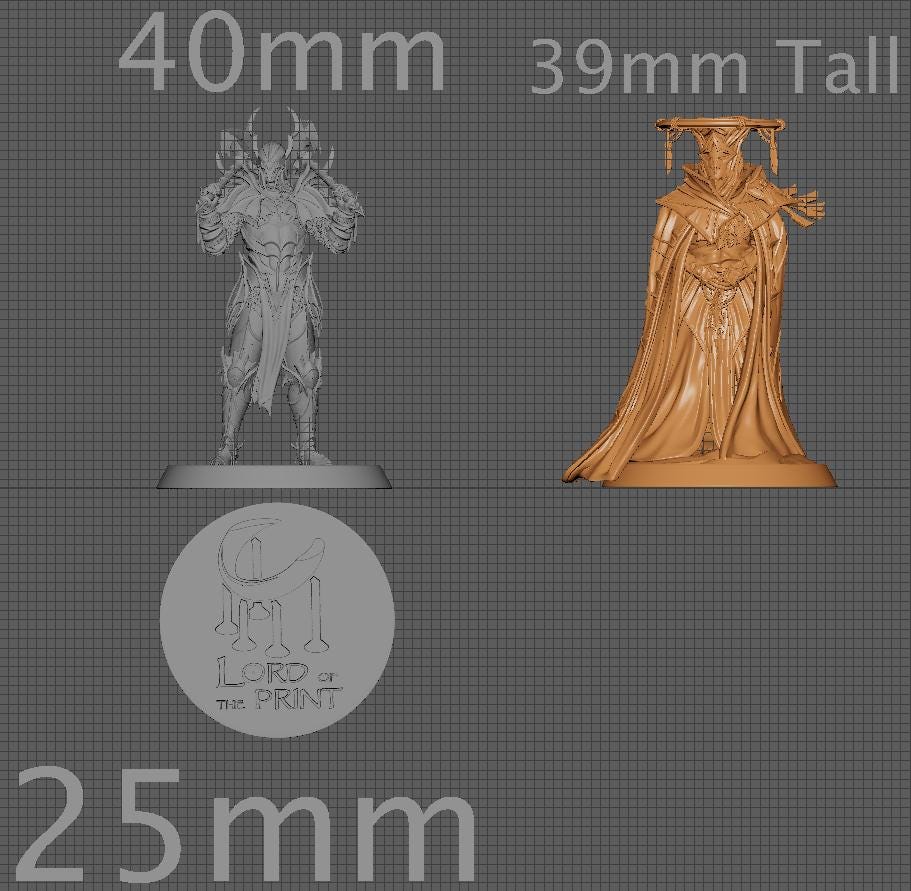 The Sun Priest | Aussie 3D Printed Miniatures and Terrain