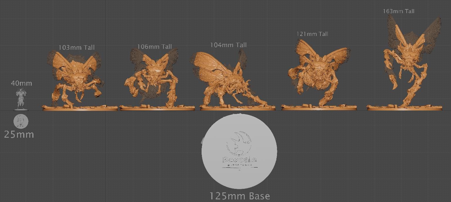 Wild Kharax | Aussie 3D Printed Miniatures and Terrain