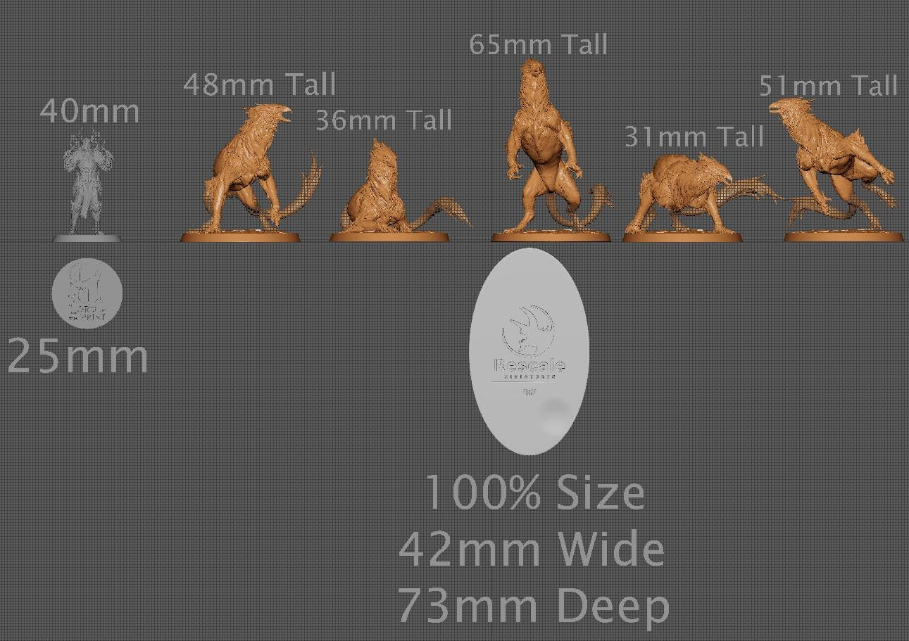 Wild Gryphs, Pack 2 | Aussie 3D Printed Miniatures and Terrain