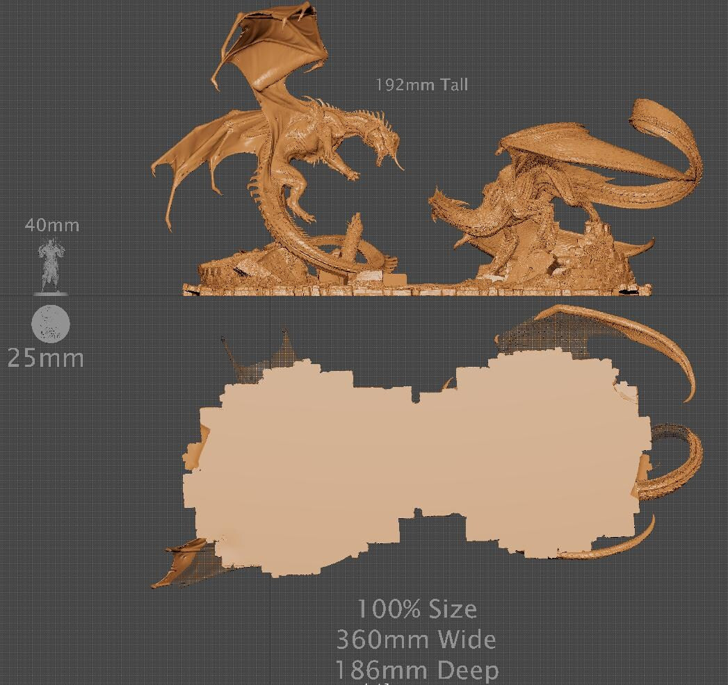 Black Dragon vs Silver Dragon | Aussie 3D Printed Miniatures and Terrain
