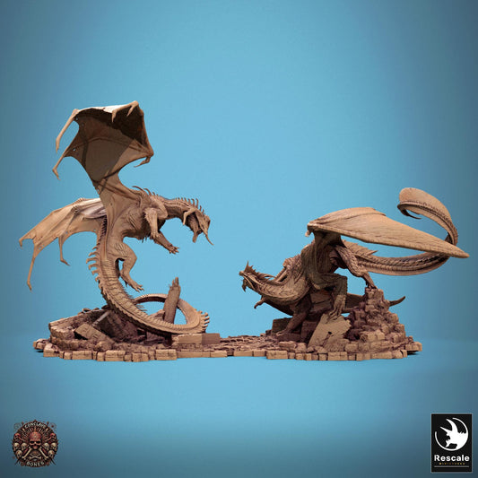 Black Dragon vs Silver Dragon | Aussie 3D Printed Miniatures and Terrain