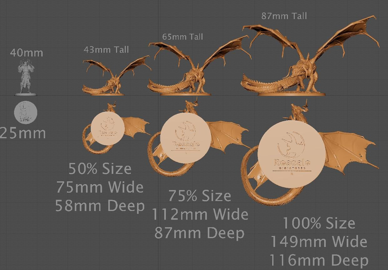 Black Dragon, Multiple Pose Options | Aussie 3D Printed Miniatures and Terrain