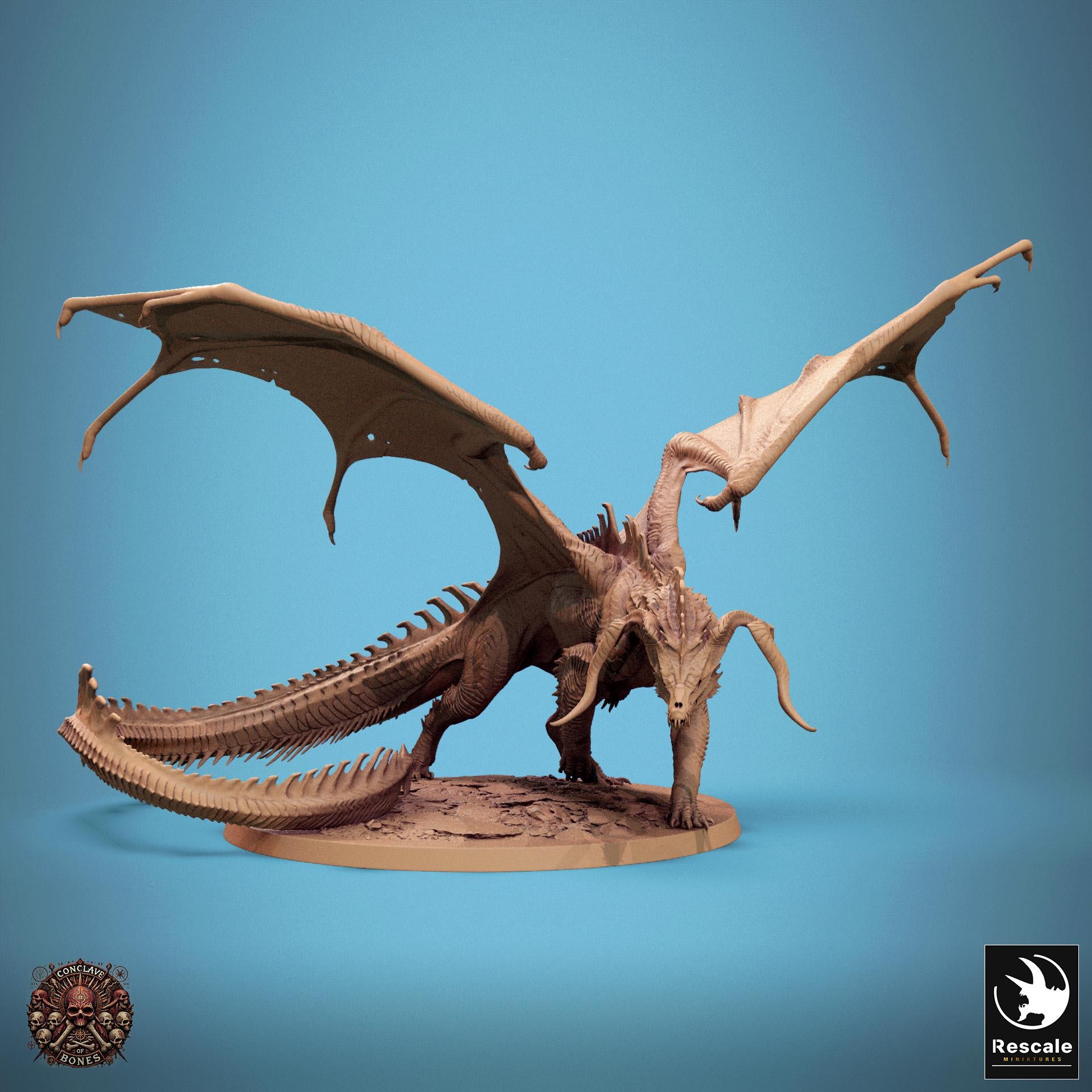 Black Dragon, Multiple Pose Options | Aussie 3D Printed Miniatures and Terrain
