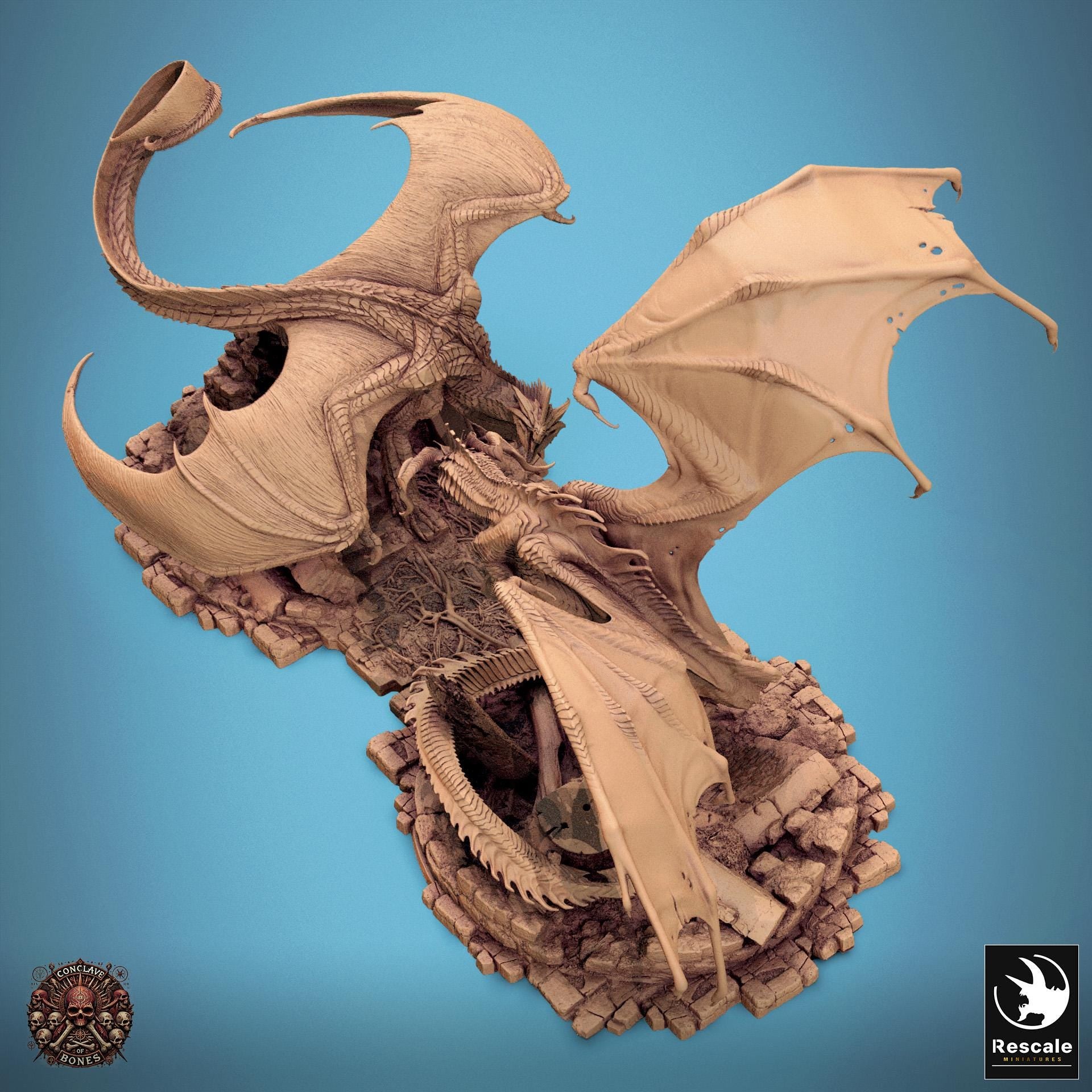 Black Dragon vs Silver Dragon | Aussie 3D Printed Miniatures and Terrain